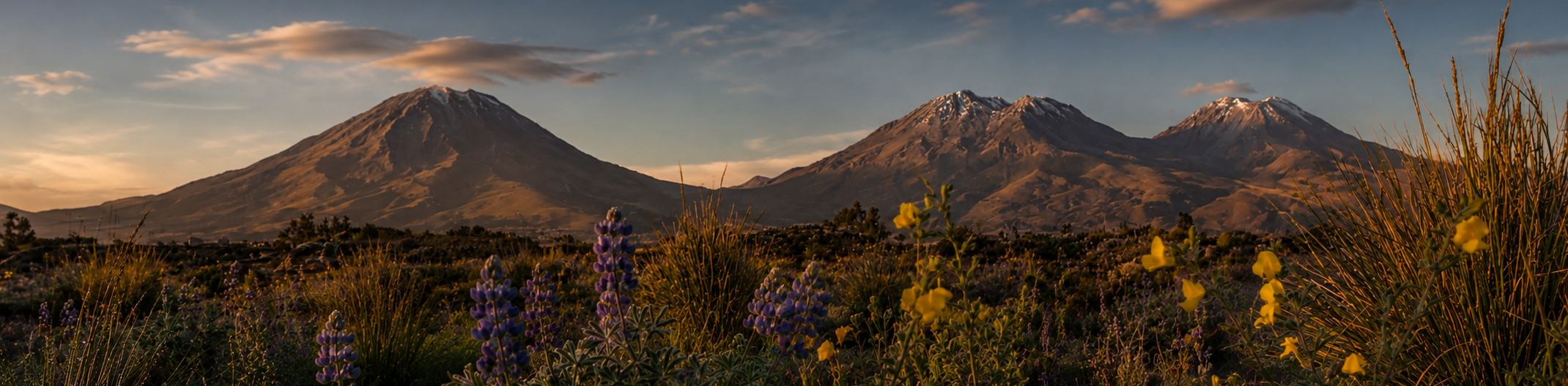 AREQUIPA APRUEBA CON ORDENANZA SU PLAN REGIONAL DE COMPETITIVIDAD Y PRODUCTIVIDAD
